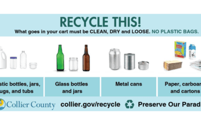 Celebrate America Recycles Day — Learn How to Recycle Right!